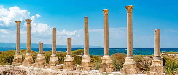 Colonnes anciennes de Tyr, témoins du patrimoine menacé.