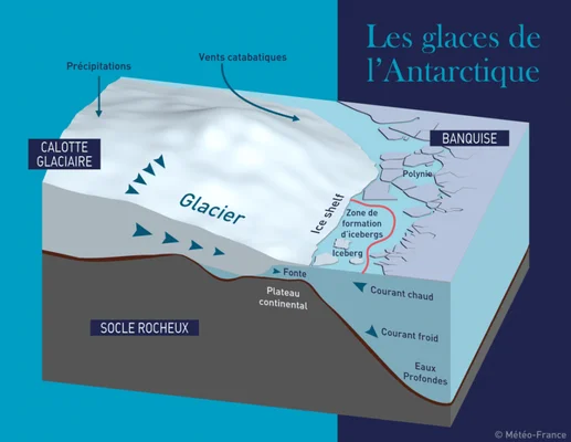 Infographie explicative du système glaciaire antarctique : calotte, glaciers, plateformes et courants océaniques.