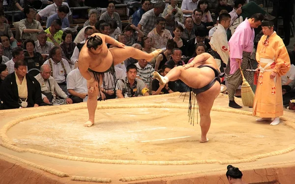 Combat de sumo au Tournoi de Paris à l'Accor Arena.