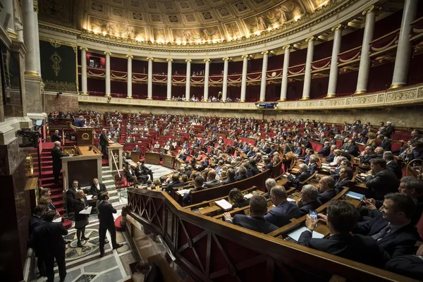 L'hémicycle de l'Assemblée nationale lors de l'adoption définitive de la loi « Philippine».