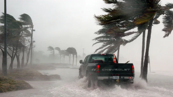 Un pick-up Chevrolet avançant sur une route inondée sous une tempête violente, avec des palmiers pliés par le vent.