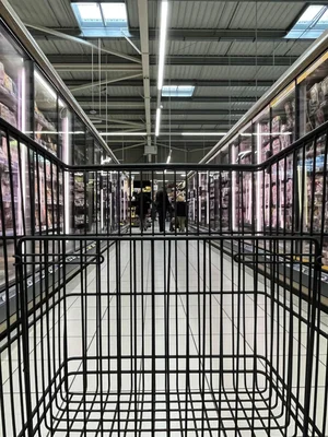 Vue depuis un caddie dans une allée de surgelés d'un supermarché.