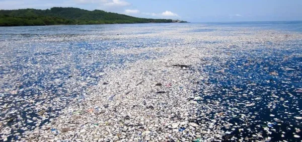 Étendue d'eau recouverte de plastiques flottants, avec une côte visible à l'arrière-plan.