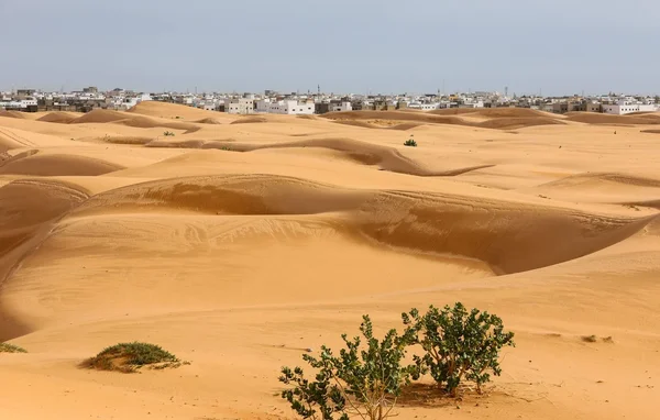Paysage de dunes et d'une ville blanche sous un ciel clair, illustrant les régions arides où les températures sont plus élevées qu'en France.