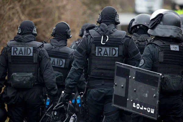 Intervention du RAID dans le Val-d'Oise lors d'une opération de police.