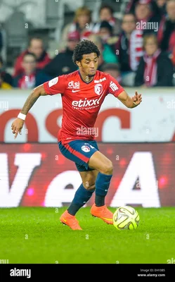 Ryan Mendes dribblant lors du match Lille-Rennes en Ligue 1, le 15 mars 2015.