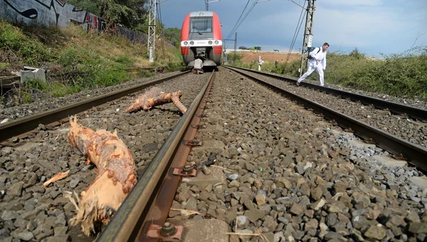 Train circulant sur une voie partiellement obstruée par des bûches, évoquant des perturbations sur le réseau.