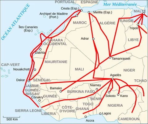 Carte des routes d'immigration africaine vers l'Europe, montrant les flux migratoires depuis l'Afrique de l'Ouest vers la péninsule ibérique.