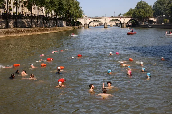 Nageurs équipés de bouées de sécurité dans la Seine, observés depuis la berge.
