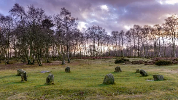 Vue du cercle de pierres où le corps a été découvert après l'événement du solstice d'été.