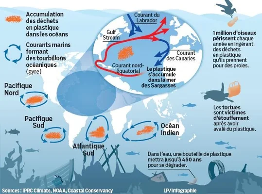 Infographie sur l'accumulation de plastique dans les gyres océaniques, incluant le Great Pacific Garbage Patch.