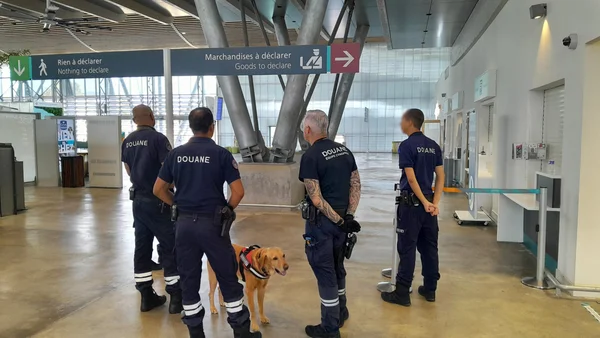 Des douaniers et un chien renifleur patrouillent dans un aéroport pour détecter le transport de stupéfiants.