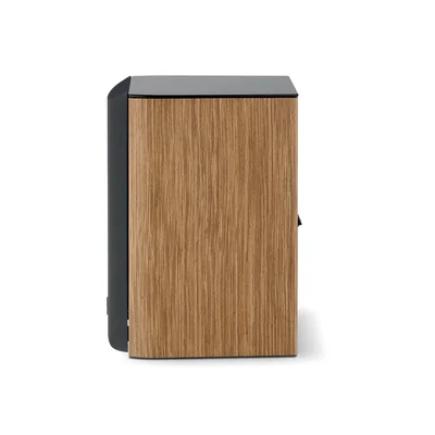 Enceinte Focal Aria Evo X N°1 en finition chêne clair, panneau latéral bois et grille sombre.