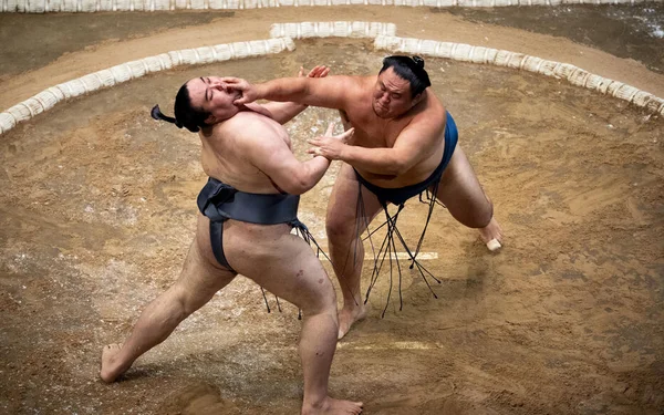 Deux lutteurs de sumo s'affrontent sur le dohyō lors d'un match intense, capturant la puissance du sport.