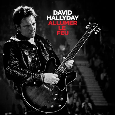 David Hallyday en concert, image promotionnelle pour « Allumer le feu ».