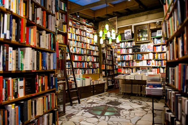 Intérieur chaleureux d'une librairie indépendante, avec ses rayonnages du sol au plafond.