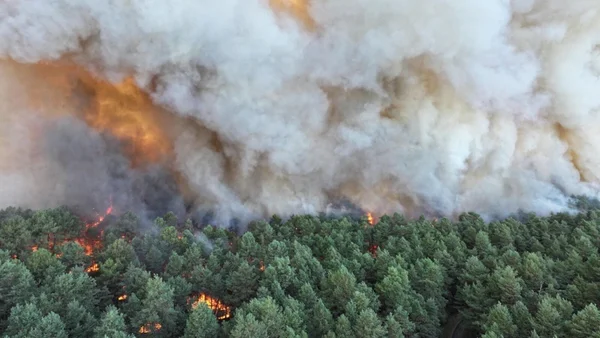 Vue aérienne de l'incendie en forêt de Fontainebleau, avec fumée et flammes dévorant la végétation.