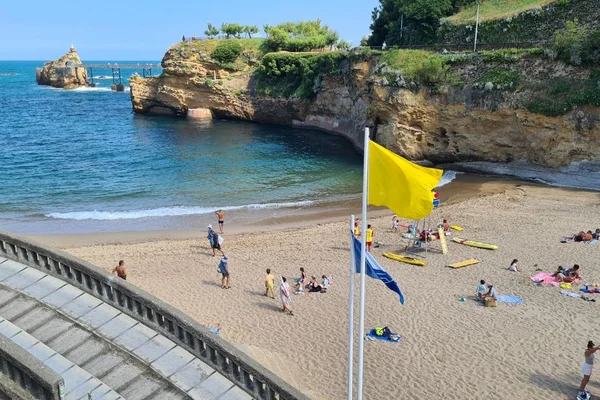 « La présence d'Ostreopsis se traduit parfois par un goût métallique de l'eau » : cette plage de Biarritz rouvre après une contamination d'une microalgue
