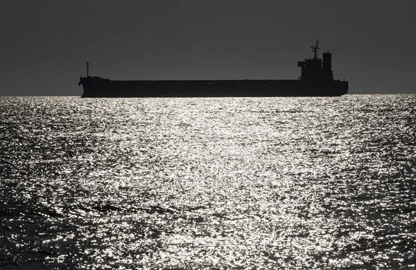 Cargo se profilant à l'horizon sous un ciel sombre, avec des reflets solaires sur l'eau.