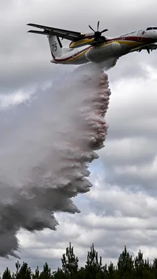 Un avion bombardier d'eau déversant du retardateur de flamme sur un incendie de forêt.