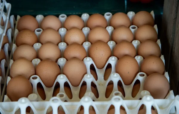 Œufs bruns rangés dans des alvéoles en plastique blanc, prêts pour le transport.