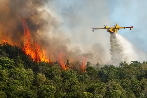 Un avion bombardier d'eau lutte contre l'incendie de la forêt de Fontainebleau.