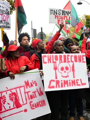 Manifestants portant des drapeaux et des pancartes contre le chlordécone.