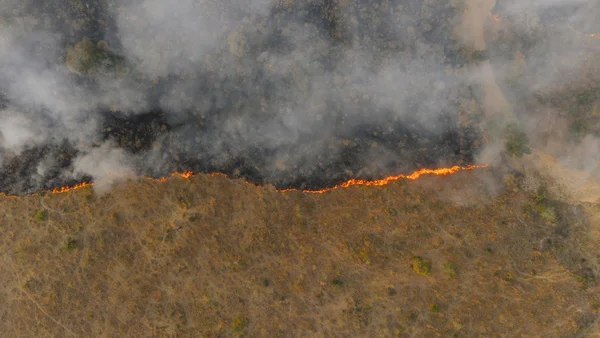 Vue aérienne d'un incendie de forêt au Portugal, montrant la progression des flammes dans les prairies.