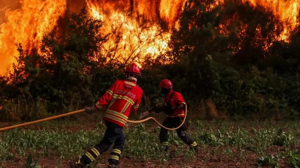 Deux pompiers portugais luttent contre un incendie de forêt majeur.