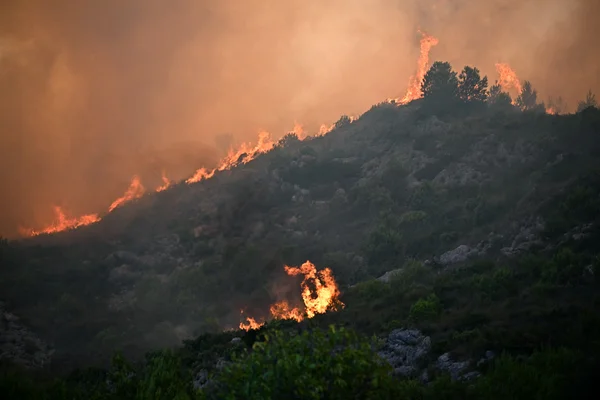 Incendie de forêt dévastateur sur une colline végétalisée, été 2025.