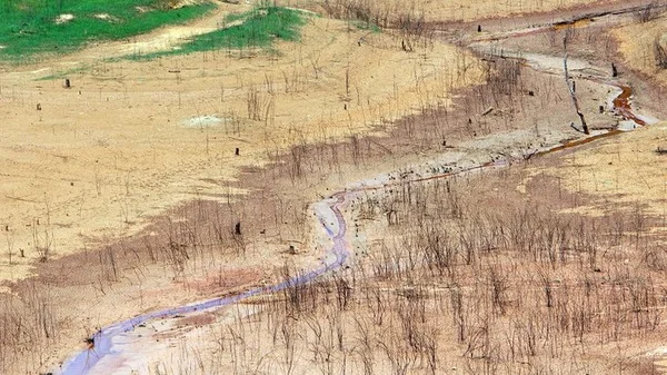 Vue aérienne d'un paysage asséché par la sécheresse dans les Caraïbes, avec un cours d'eau réduit et des arbres morts.
