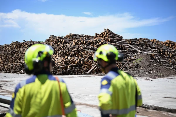 Vue de l'usine Fibre Excellence avec des ouvriers observant un stock de bois.
