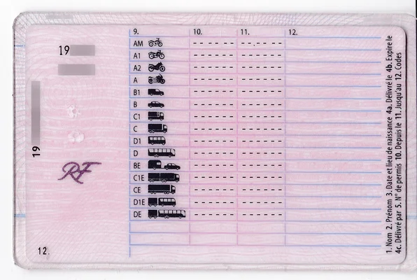 Le permis de conduire français (version 2019, verso).