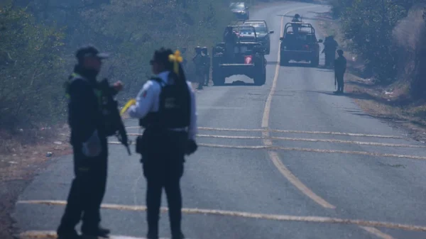 Des agents de sécurité sur les lieux où cinq policiers ont été tués dans l'État de Michoacán, région dominée par les cartels.