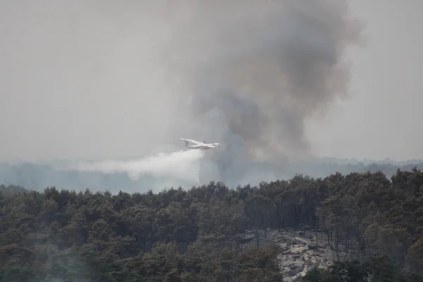 Avion larguant un produit retardateur sur un incendie de forêt à Fontainebleau.