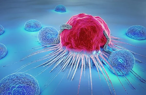 Représentation 3D d'une cellule cancéreuse interagissant avec des cellules immunitaires.