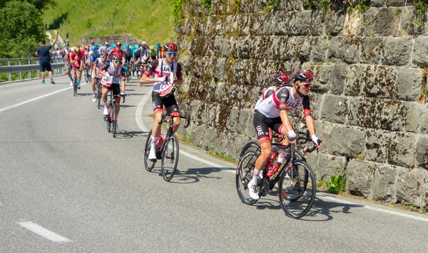 Le peloton de l'UAE Team Emirates lors de la première étape du Tour de Slovénie 2022, roulant en ordre serré sur une route vallonnée.