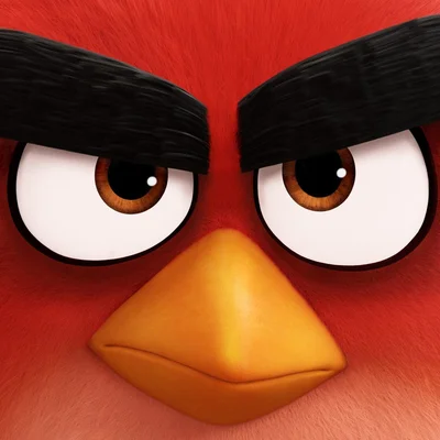 Gros plan du personnage Red, illustration CGI des Angry Birds.