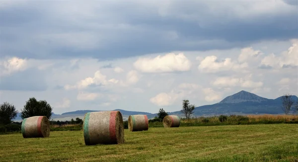 Balles de foin sur le plateau ardéchois après la récolte.