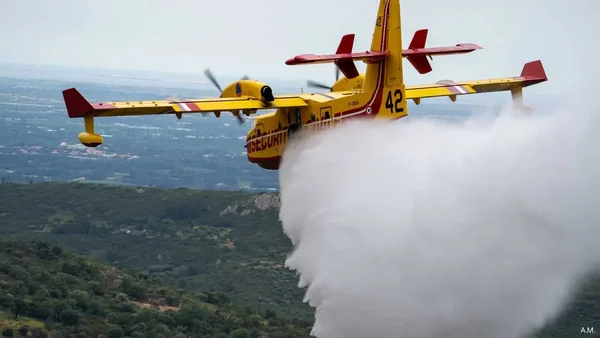 Un Canadair CL-415 en action de largage au-dessus d'une zone boisée.