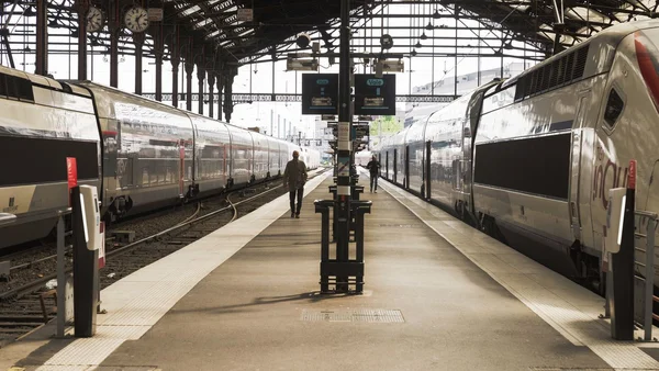 Deux TGV à quai dans une gare, avec des voyageurs circulant entre les trains.