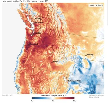 Carte des températures maximales lors de la vague de chaleur record de juin 2021 dans le Nord-Ouest des États-Unis, source : NOAA Climate.gov.