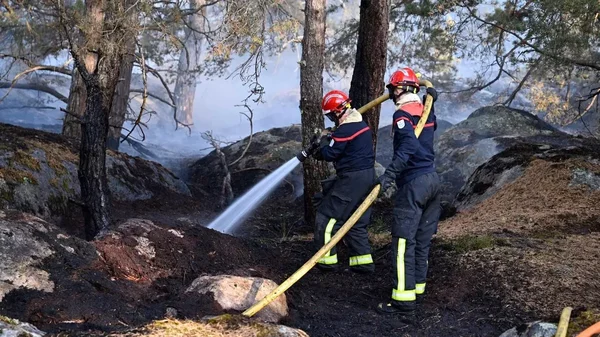 Pompiers en action pour éteindre les dernières braises de l'incendie qui a ravagé 4 hectares en forêt de Fontainebleau.