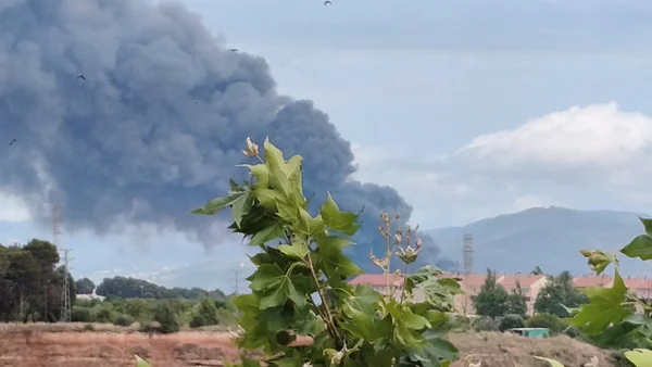 Un grand panache de fumée gris foncé s'élève dans le ciel depuis un incendie au loin, vu par-dessus un premier plan de feuillage vert.