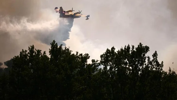 Avion bombardier d'eau en action lors d'un incendie de forêt.