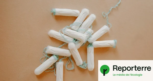 Tampons hygiéniques blancs aux fils bleus, photographiés par Reporterre lors de l'étude sur les métaux lourds.