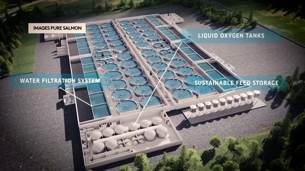 Rendu architectural du projet d'usine Pure Salmon, montrant les systèmes de filtration et réservoirs d'oxygène.