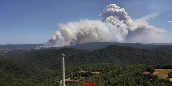 Un immense panache de fumée s'élève d'un incendie de forêt brûlant à travers des collines boisées.