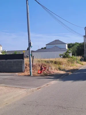 Poteau électrique et bouche d'incendie dans de l'herbe sèche près de la route, avec des maisons en arrière-plan.