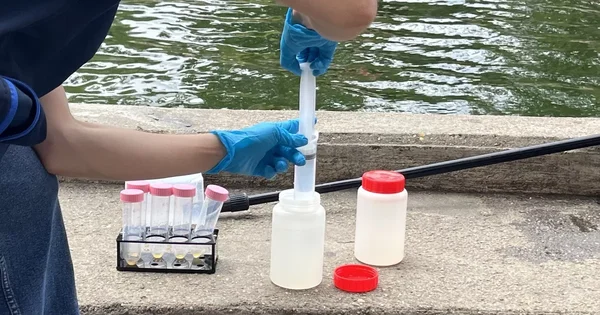 Prélèvement d'eau du canal Saint-Martin pour analyse par des scientifiques indépendants, commandé par Le Figaro.